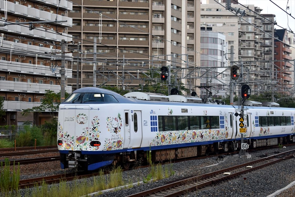 はるか」30th（JR西日本） : ad-car's ラッピングデス