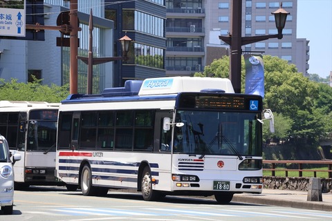 IMG_9055_R
