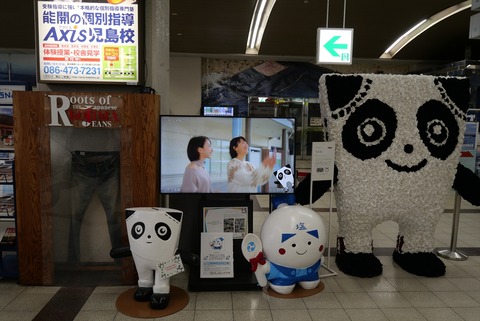 P1223958_R