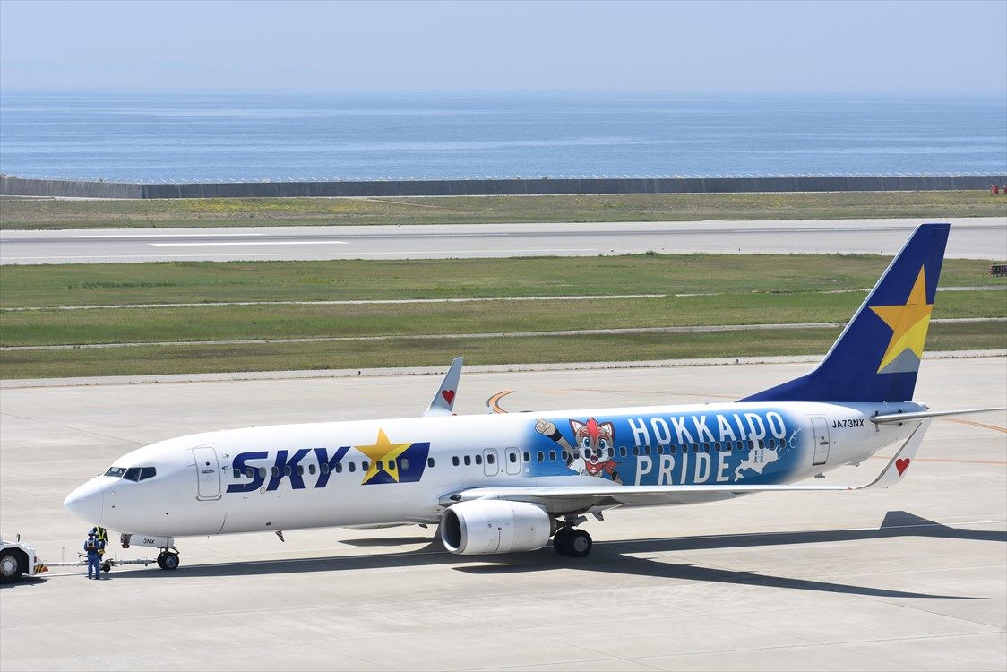 【廃版】737-800 1/130 日本ハム×スカイマーク 廃版】737-800 1/130 日本ハム×スカイマーク - メルカリ