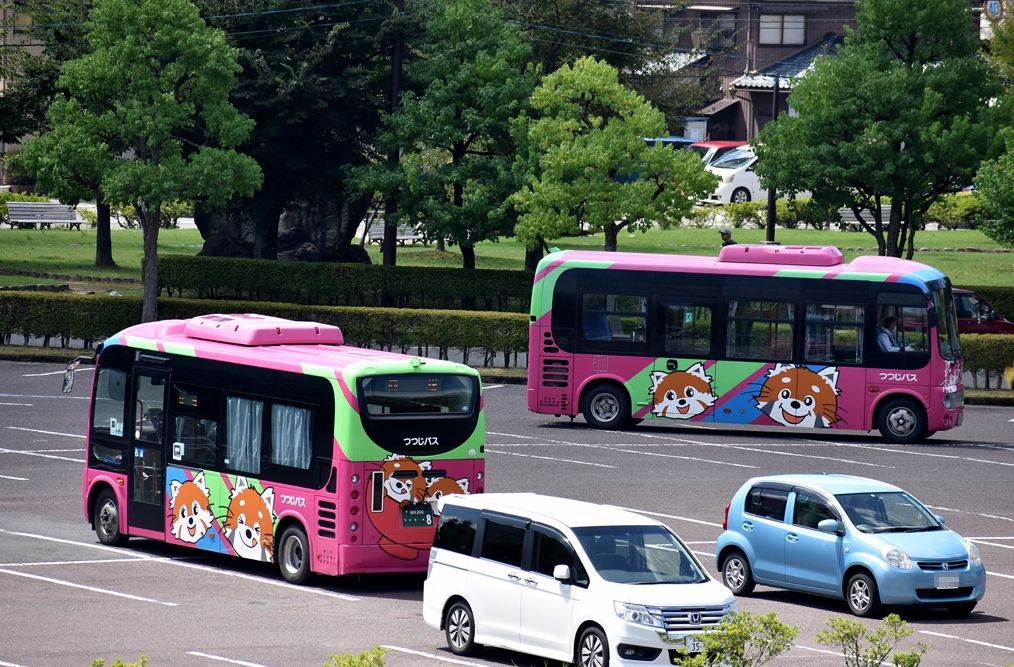 鯖江市 つつじバス 越前観光バス Ad Car S ラッピングデス