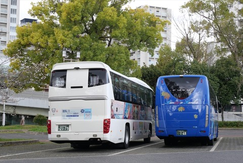 P1245816_R