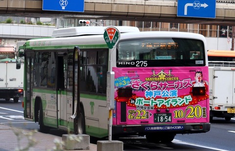 パラガス 841fbfb0-s.jpg