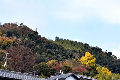 DSC_6813_R