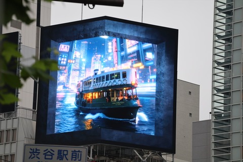 IMG_8642_R
