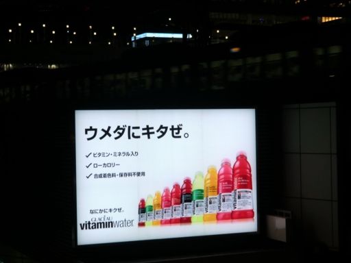 イメージ 6
