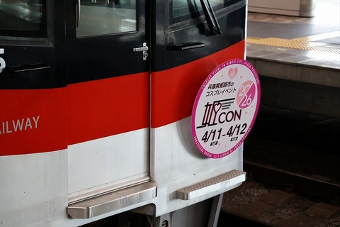 937d538d-s.jpg