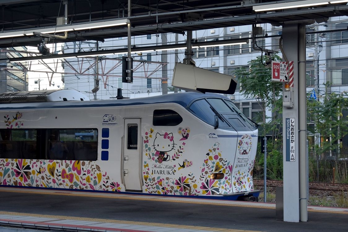 はるか」30th（JR西日本） : ad-car's ラッピングデス