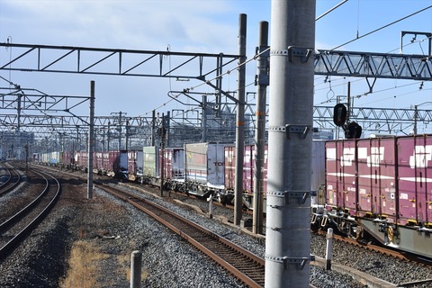 DSC_0725_R