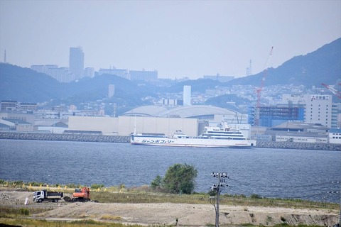 DSC_3808_R