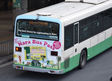 nara (28)