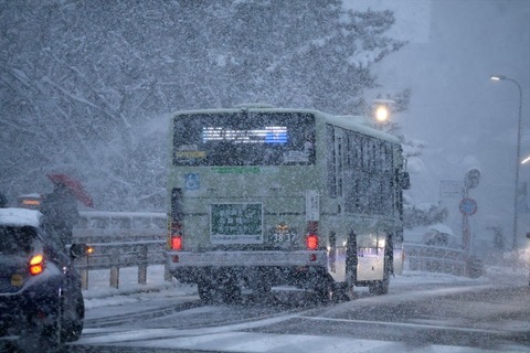 IMG_8992_R