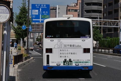 bdff632b-s.jpg