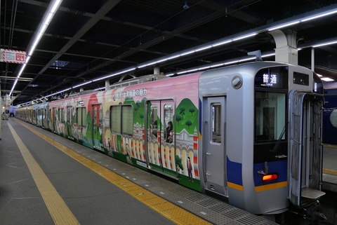 P1224217_R