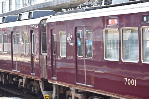 DSC_6096_R