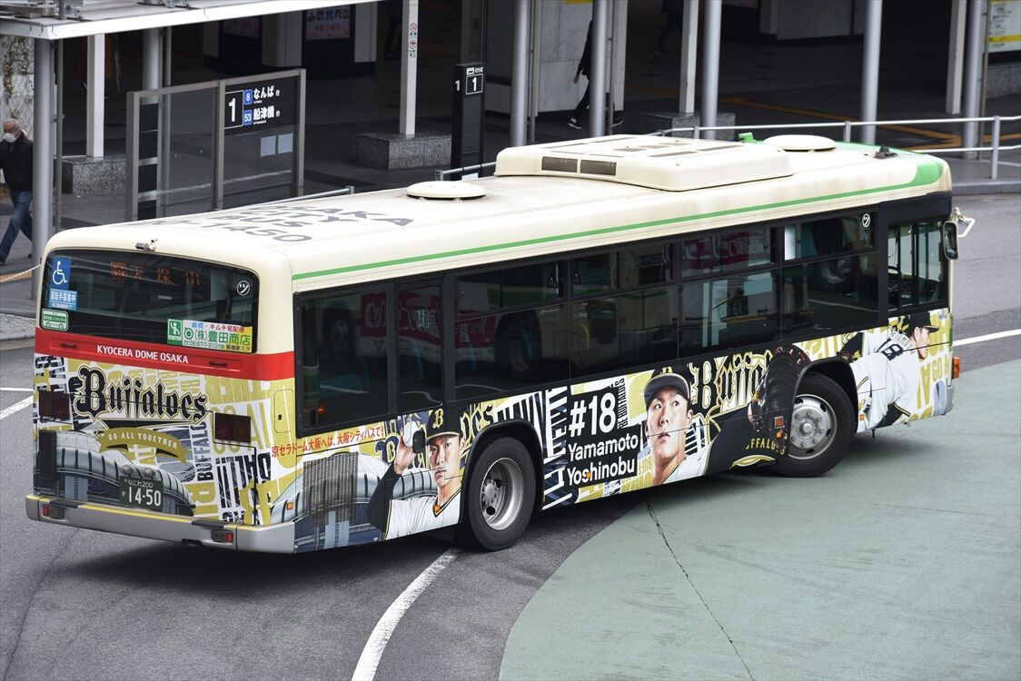 バッファロー山 パタゴニア]ブラックホール・ダッフル55L / patagonia（パタゴニア