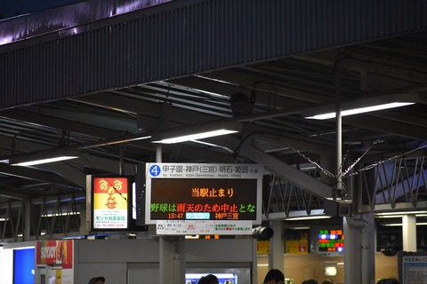 DSC_8212_R