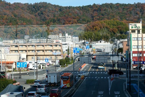 P1055512_R