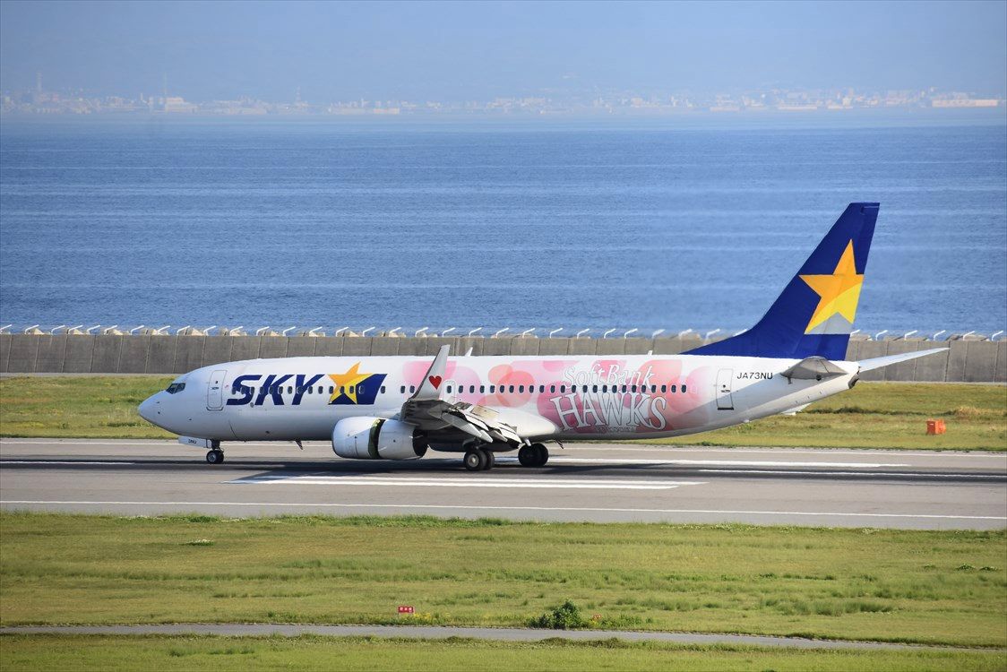 福岡ソフトバンクホークス タカガール Skymark Ad Car S ラッピングデス 福岡ソフトバンクホークス タカガール Skymark Ad Car S ラッピングデス