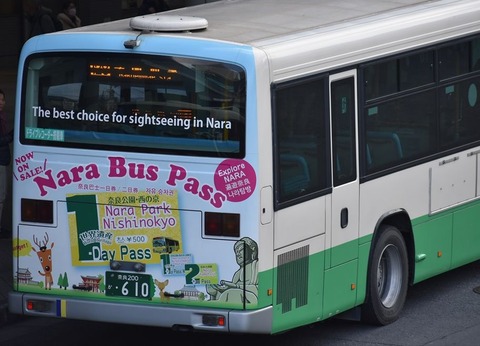 nara (24)