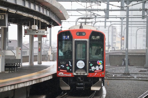 IMG_6875_R