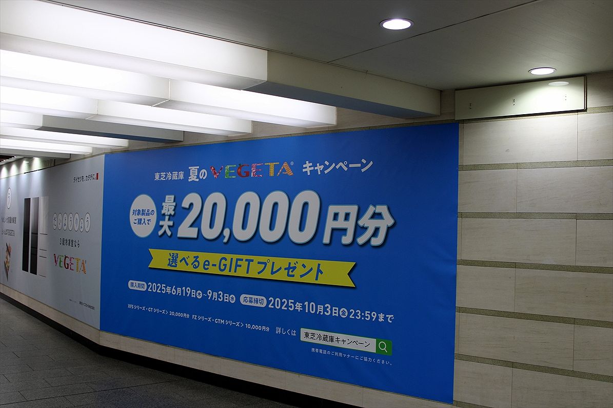 ef502a8b.jpg