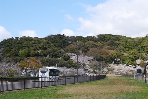 P1246039_R