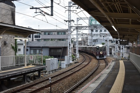 DSC_8100_R