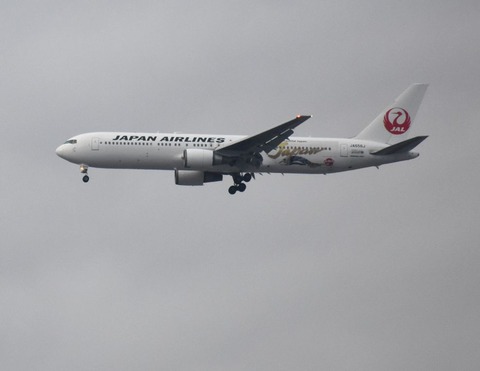航空機 Jal系 Ad Car S ラッピングデス 航空機 Jal系 Ad Car S ラッピングデス