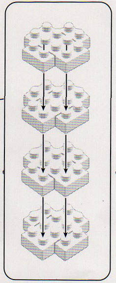 ナノブロック 説明書 アルパカ 怒ｓの館