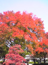 Image002
