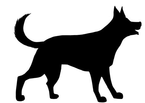 【悲報】ヤバイ...！千葉でシェパード逃走・・・・・・