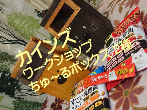 カインズワークショップちゅーるボックス01