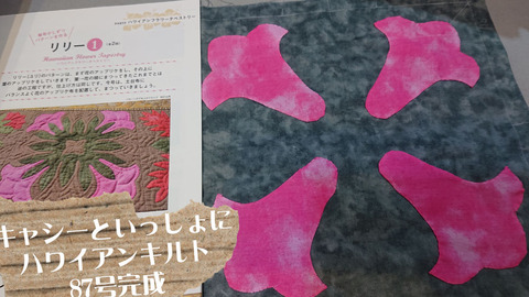 キャシーといっしょにハワイアンキルト8889001