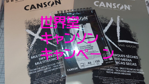 世界堂キャンソン01