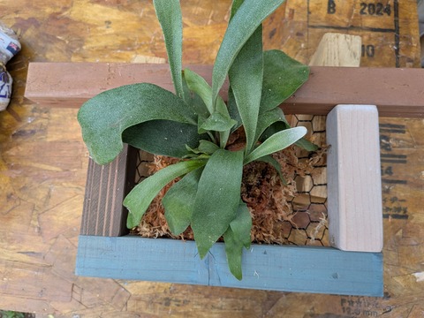 PXL_20250526_063240153
