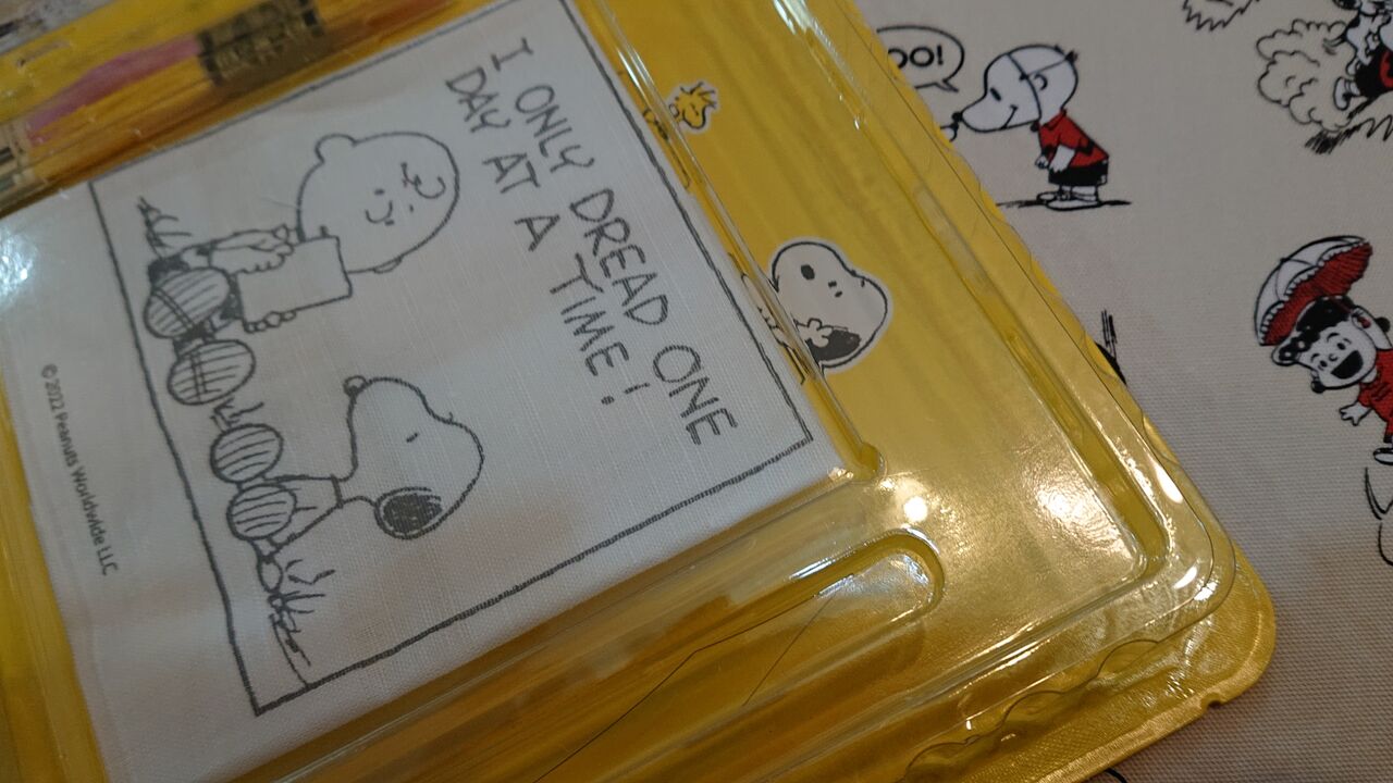 スヌーピー刺しゅうミニフレーム チャーリーブラウンとスヌーピー デアゴスティーニ I Only Dread One Day At A Time Wshinchan 令和