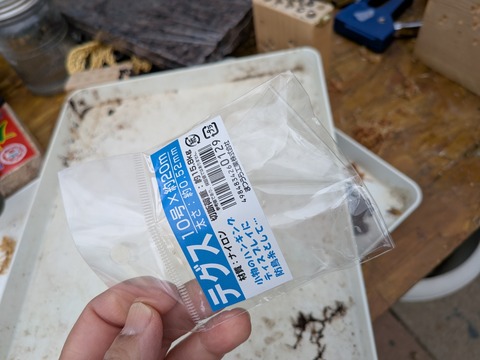 PXL_20250526_054942013