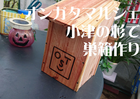 手づくり巣箱006