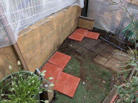 PXL_20250508_065456156