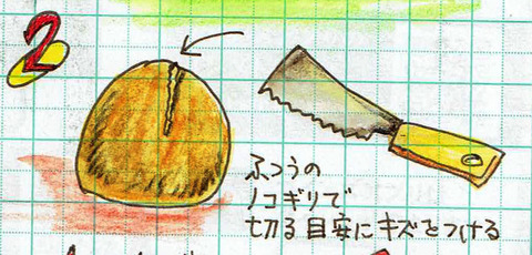 オールドココナッツ割り方003