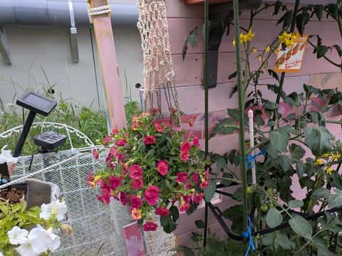PXL_20250523_051031546