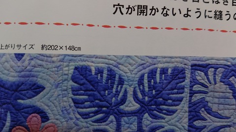 キャシー (52)