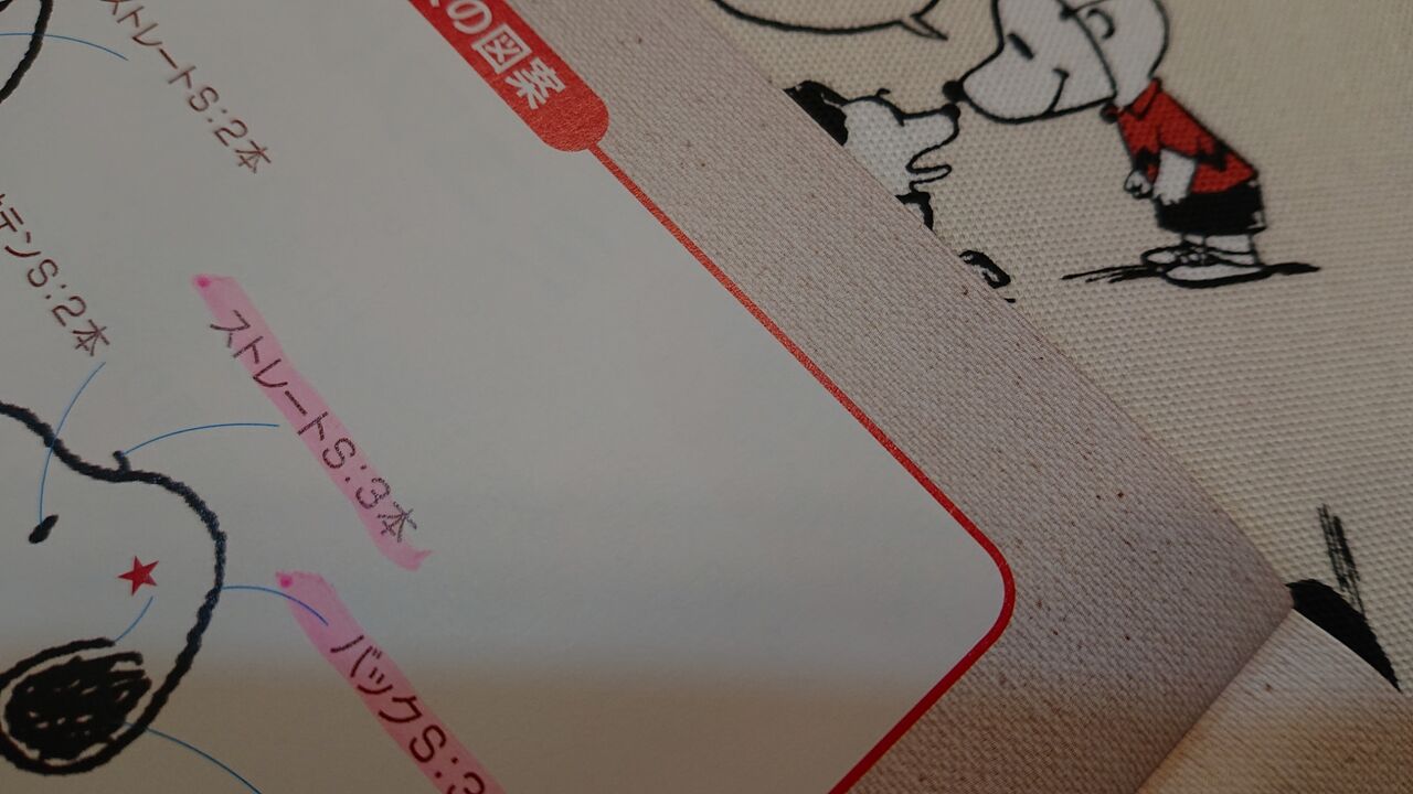 スヌーピー刺しゅうミニフレーム チャーリーブラウンとスヌーピー デアゴスティーニ I Only Dread One Day At A Time Wshinchan 令和