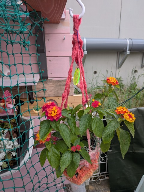 PXL_20250523_051012181
