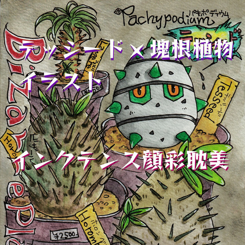 テッシードホロンベンゼパキポディウム001