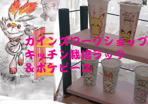 キッチン栽培ラックカインズ01