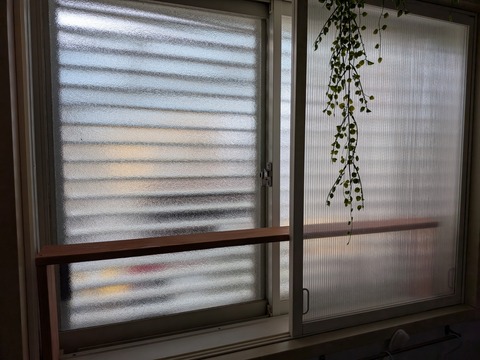 PXL_20250523_044934649
