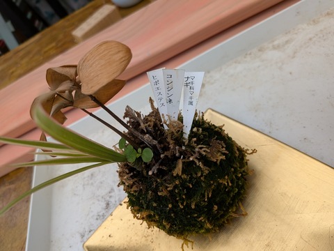 PXL_20250523_043453623