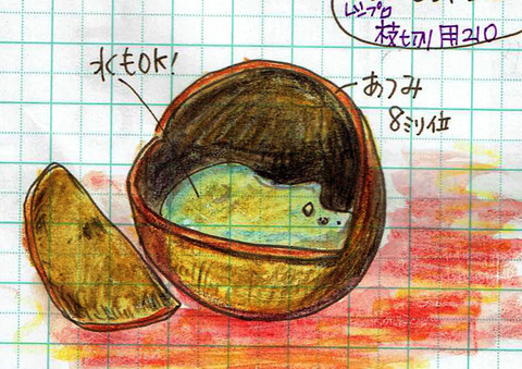 オールドココナッツ割り方007